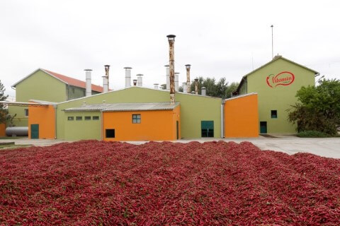 Vitamin Horgoš